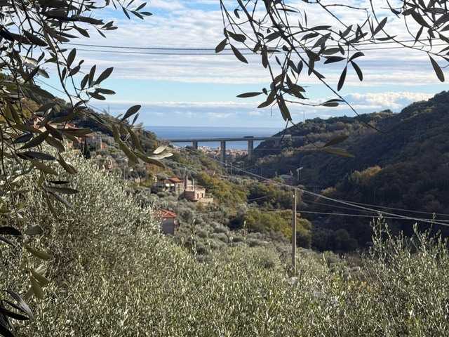  - foto 41