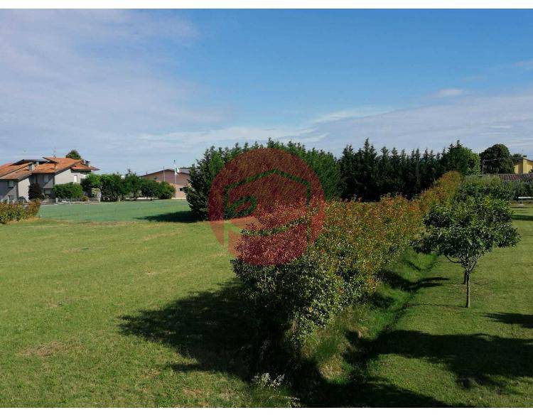 immagine annuncio 2 di 8