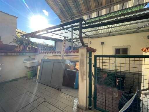  - foto 21