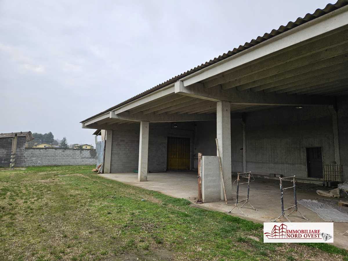 immagine annuncio 7 di 10