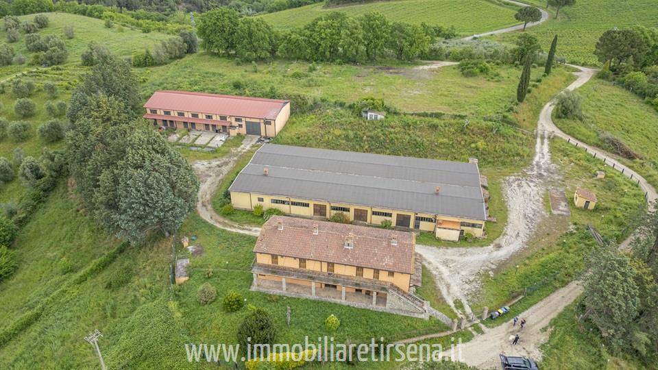 immagine annuncio 7 di 9