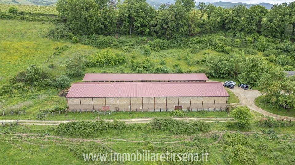 immagine annuncio 8 di 9