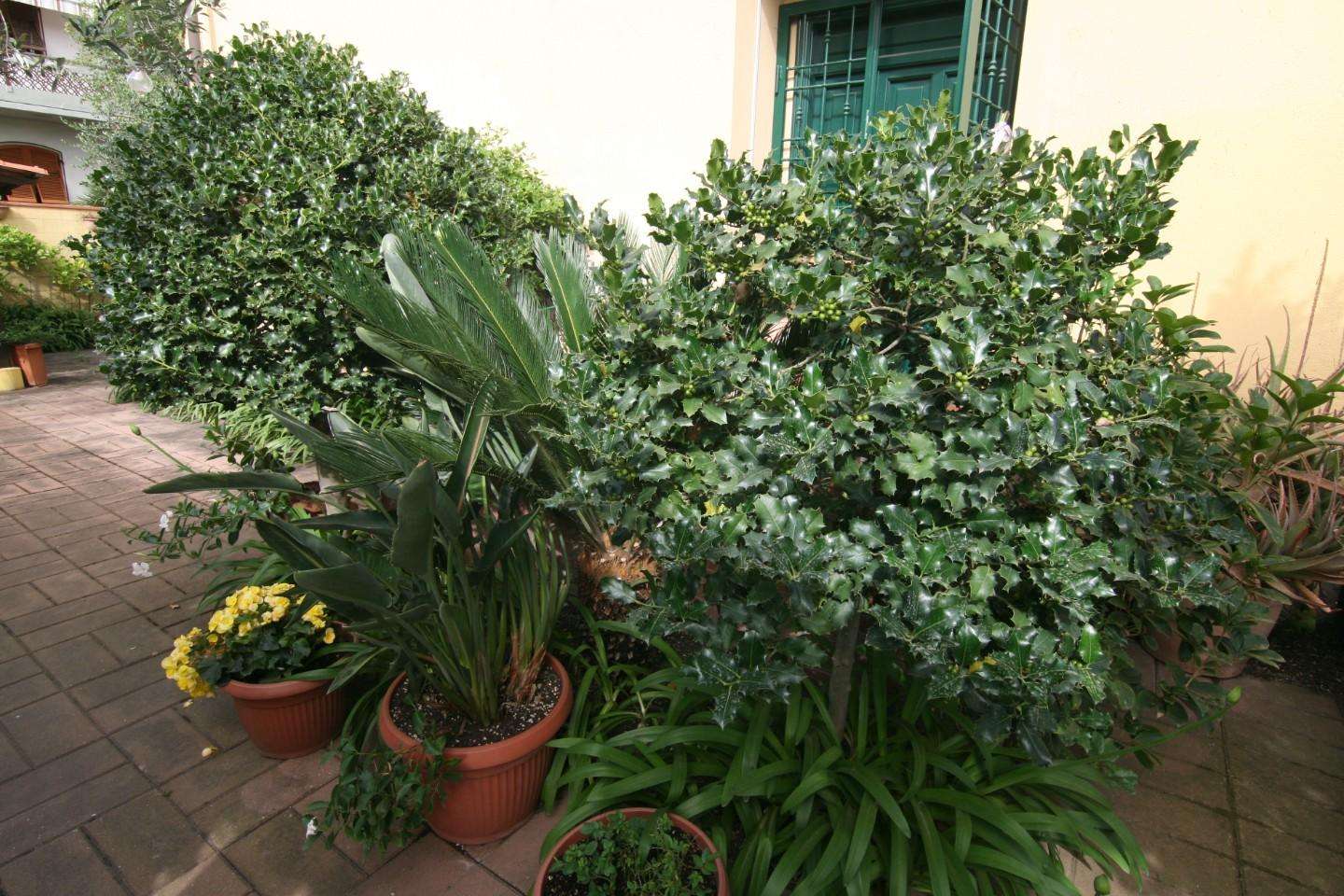  - foto 3