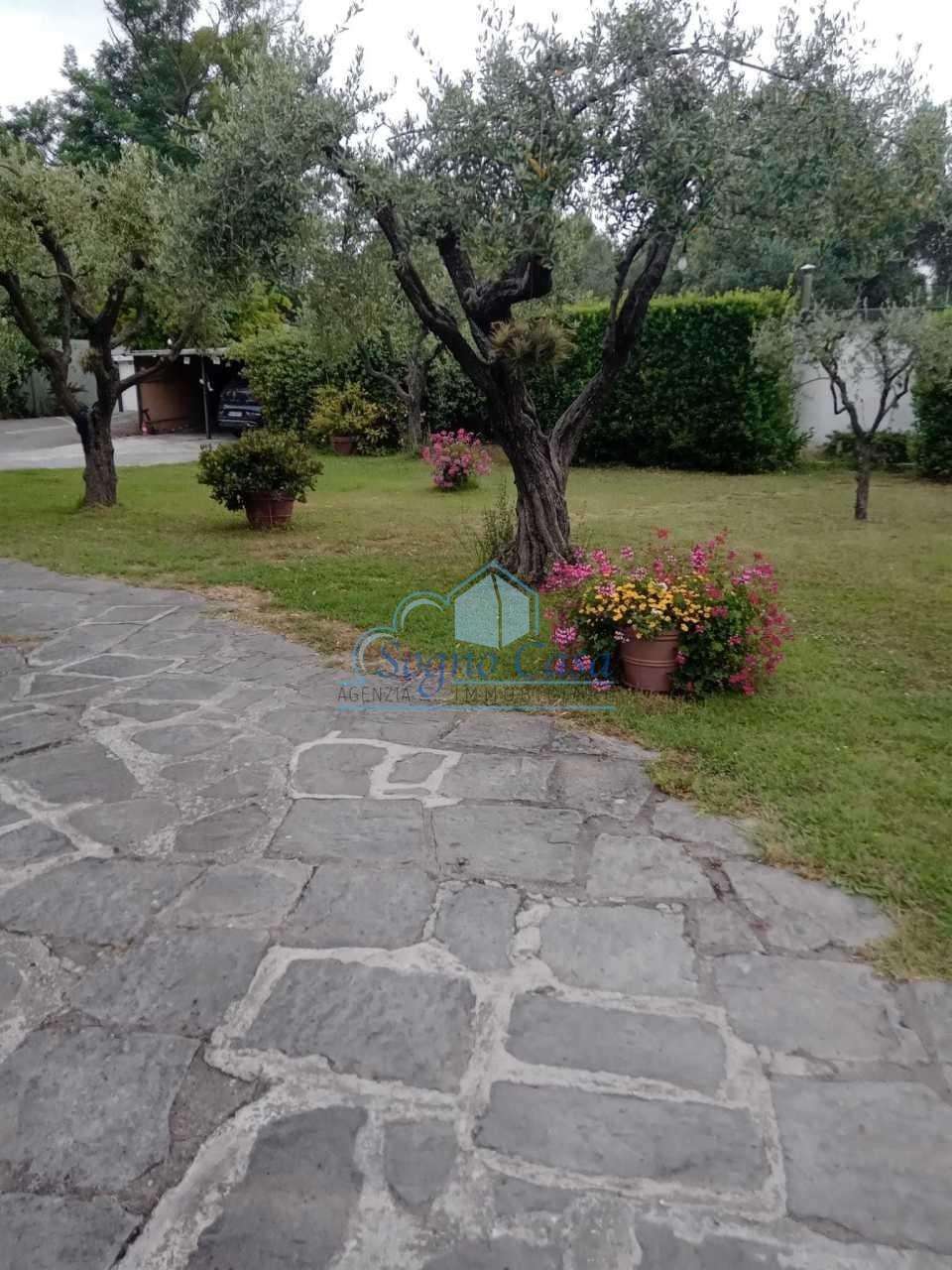  - foto 66