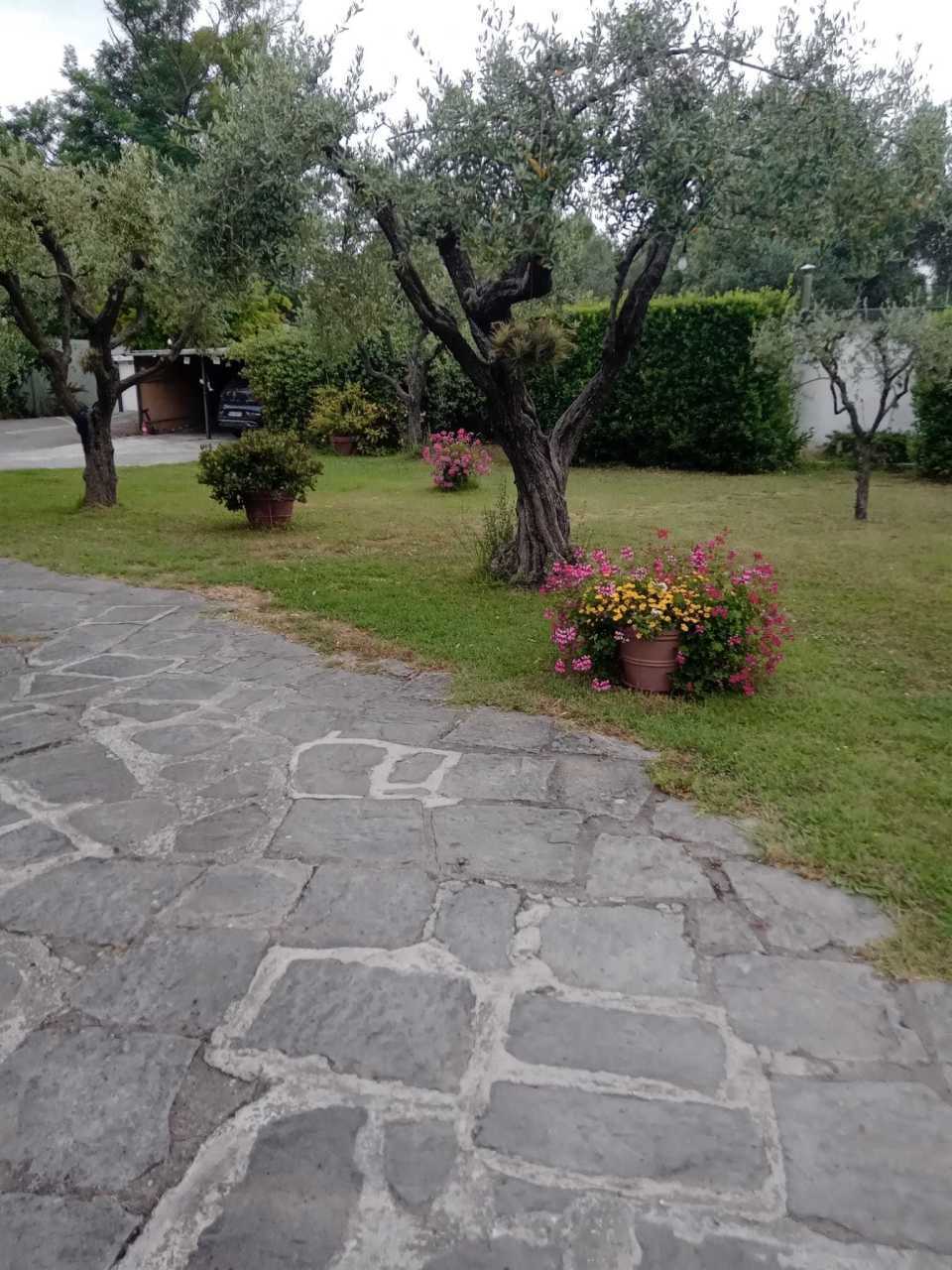  - foto 66