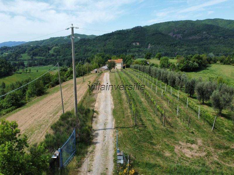 Rustico JMC+64 Pitigliano GR,, Pitigliano