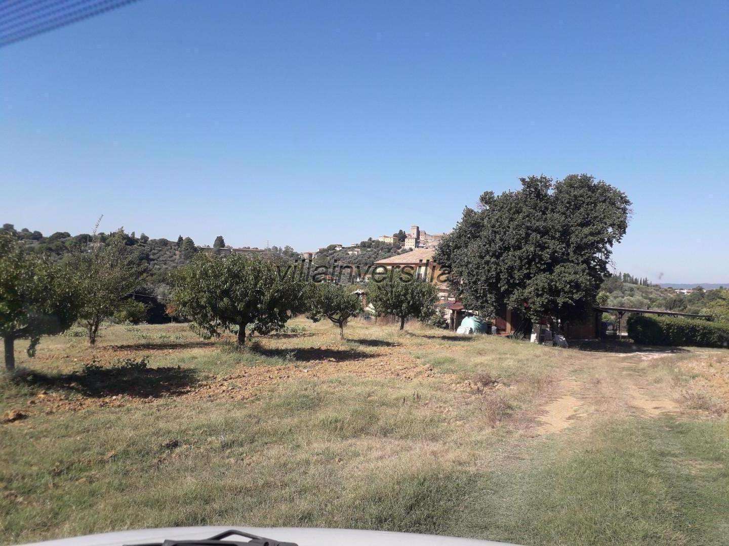 Terreno agricolo Via dell 'Angelo Custode,, Manciano