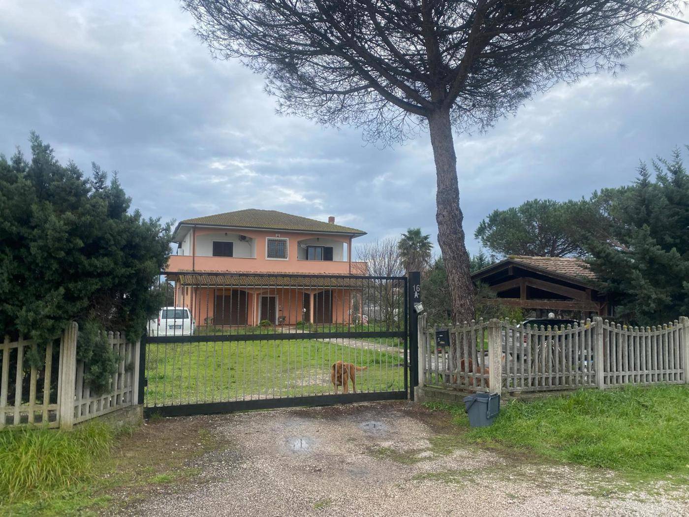 immagine annuncio 3 di 10
