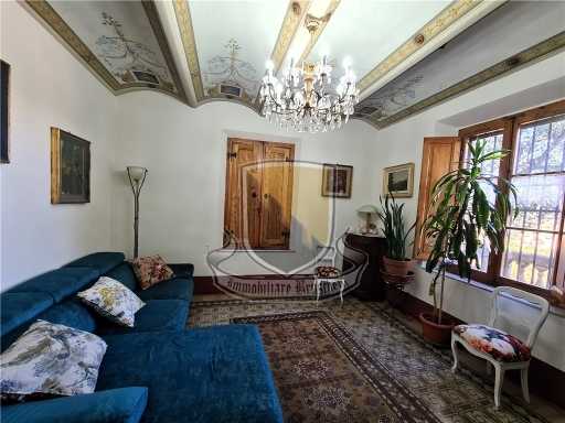  - foto 11