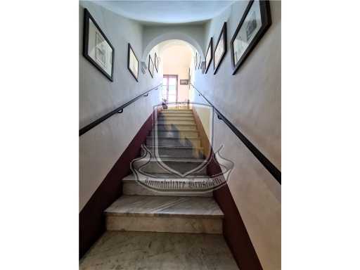  - foto 20