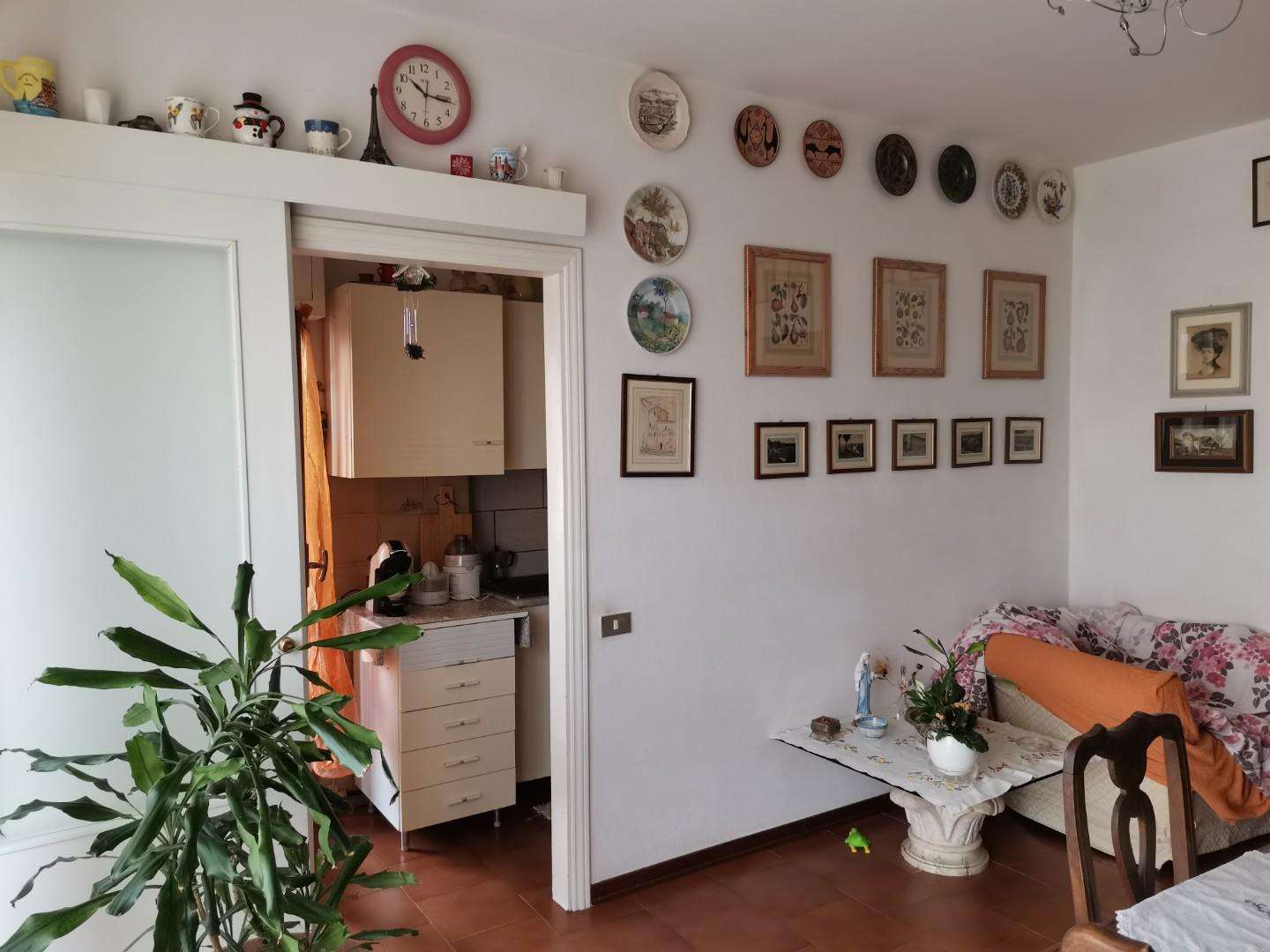  - foto 13