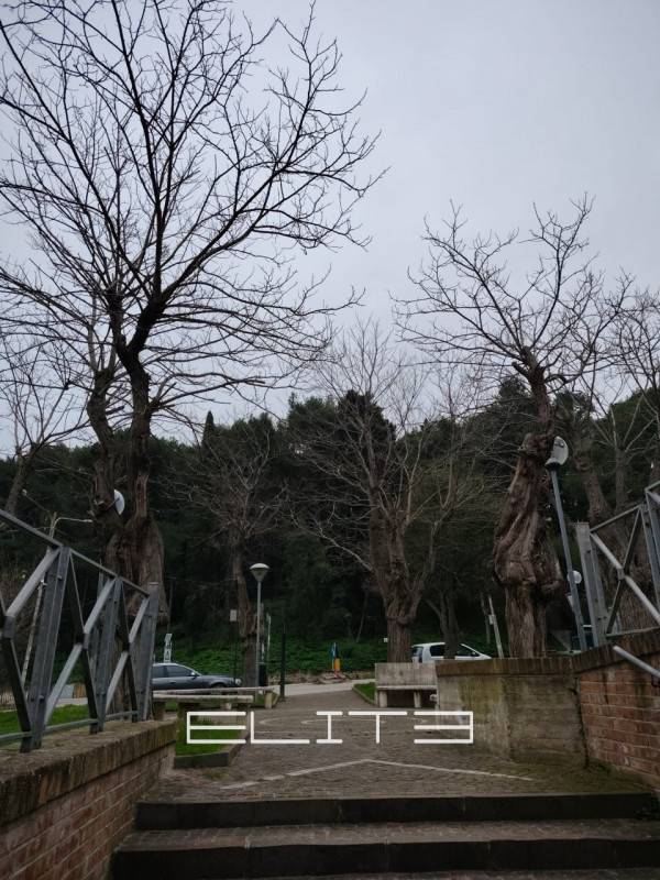 immagine annuncio 7 di 8