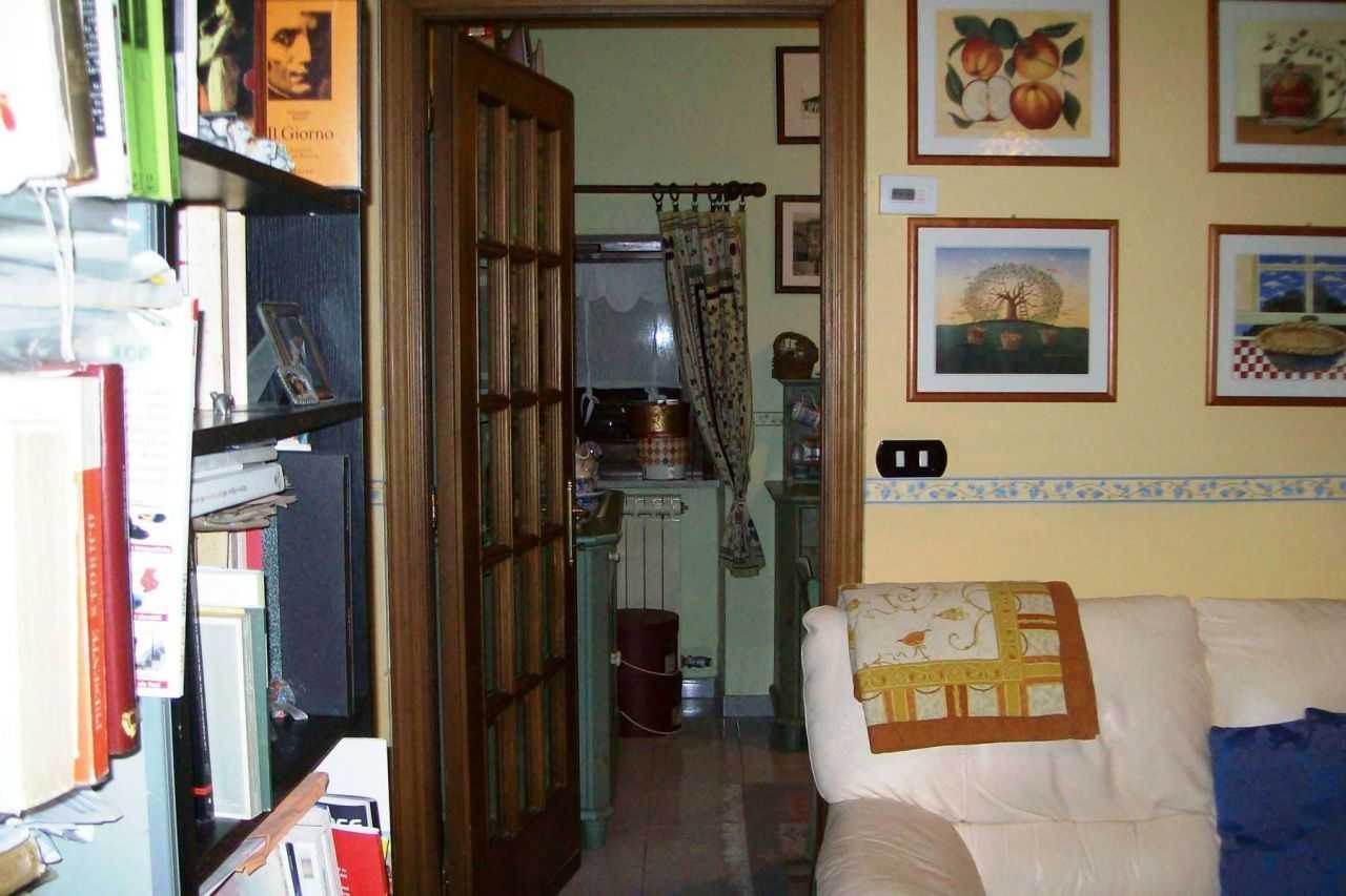  - foto 6