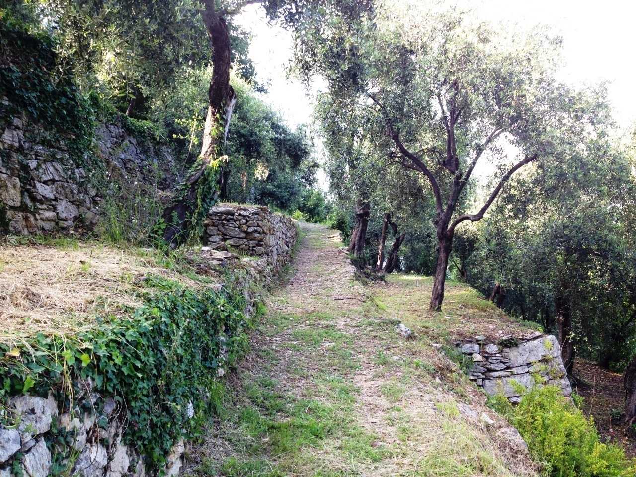 - foto 18