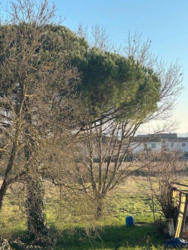  - foto 21