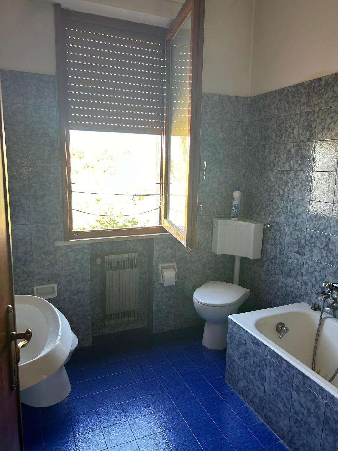  - foto 14