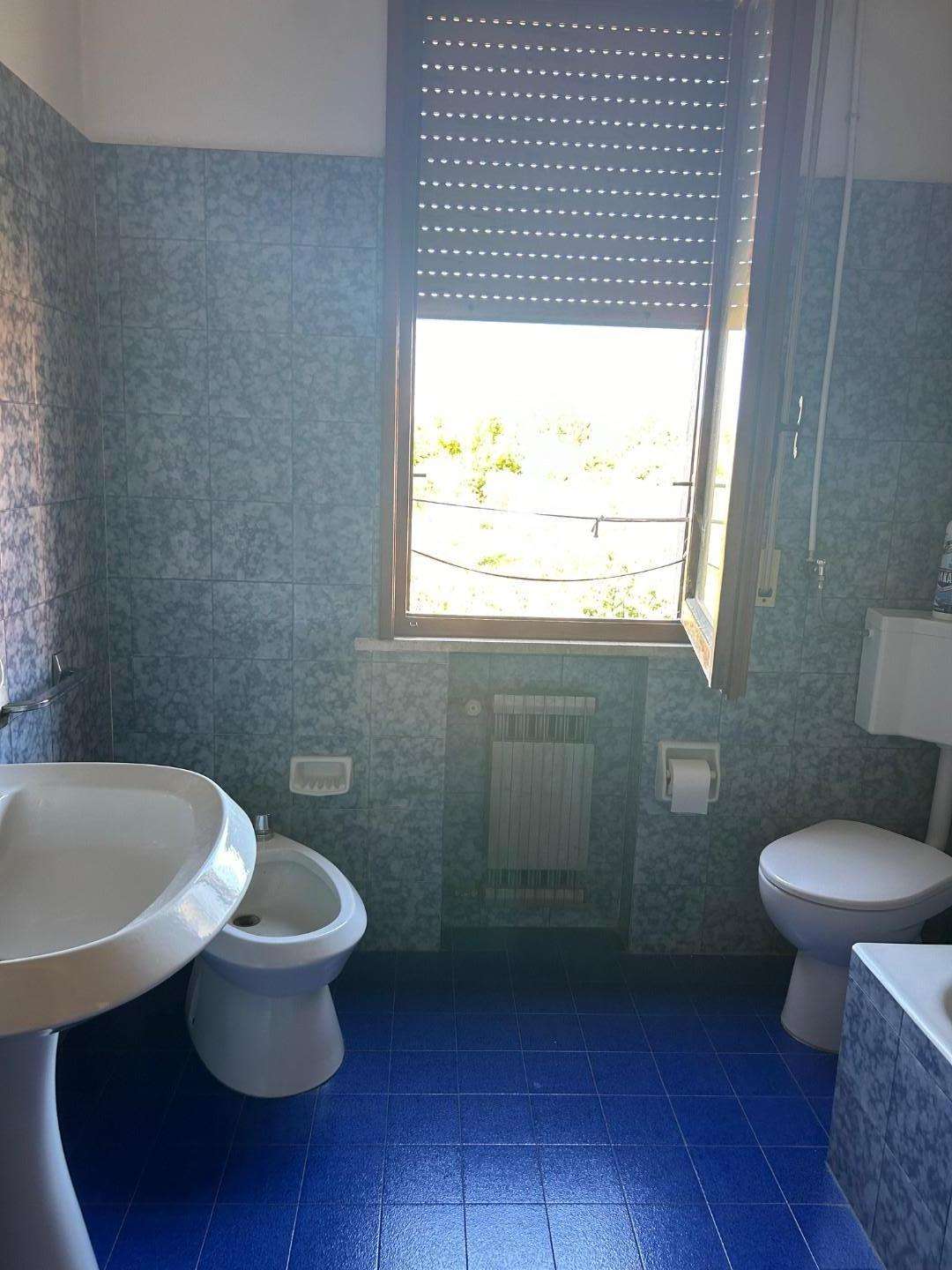  - foto 15