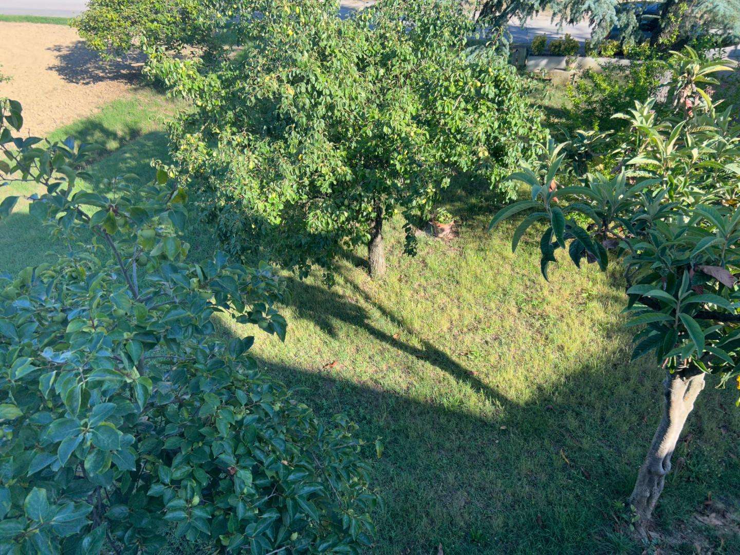  - foto 4