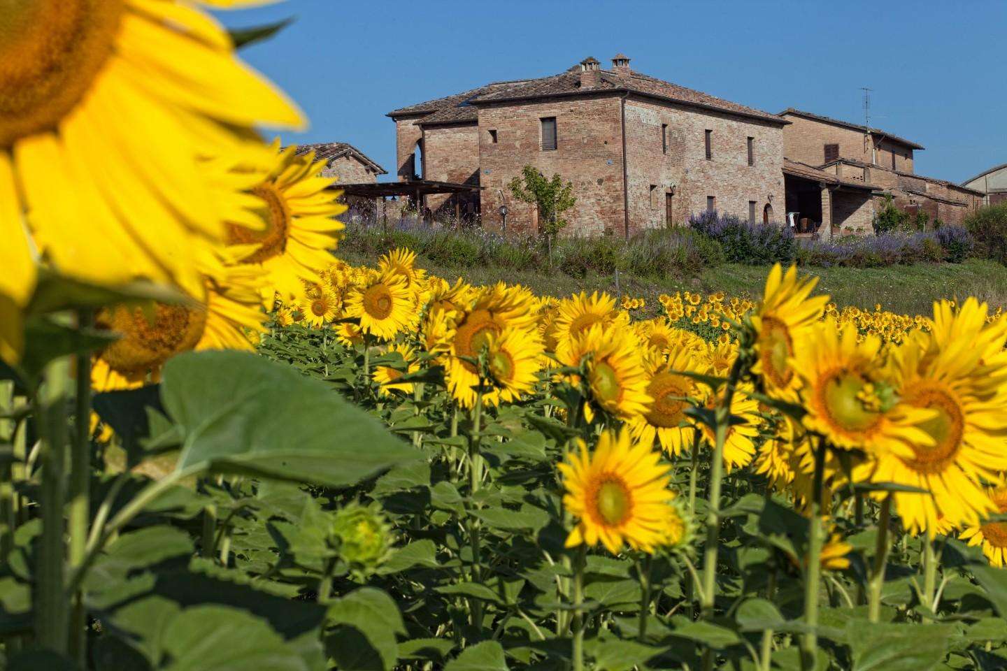 Casale d 'Arbia, Monteroni d 'Arbia, Monteroni d'Arbia