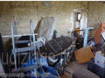 immagine annuncio 4 di 12