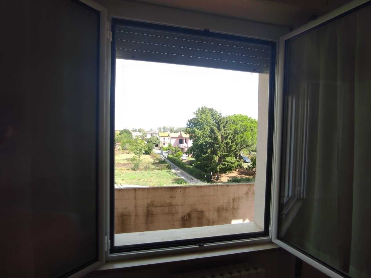  - foto 14