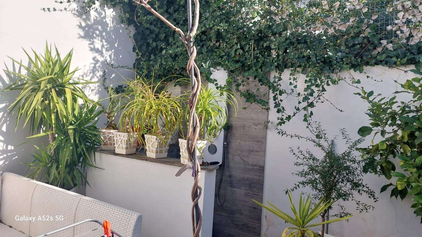  - foto 2