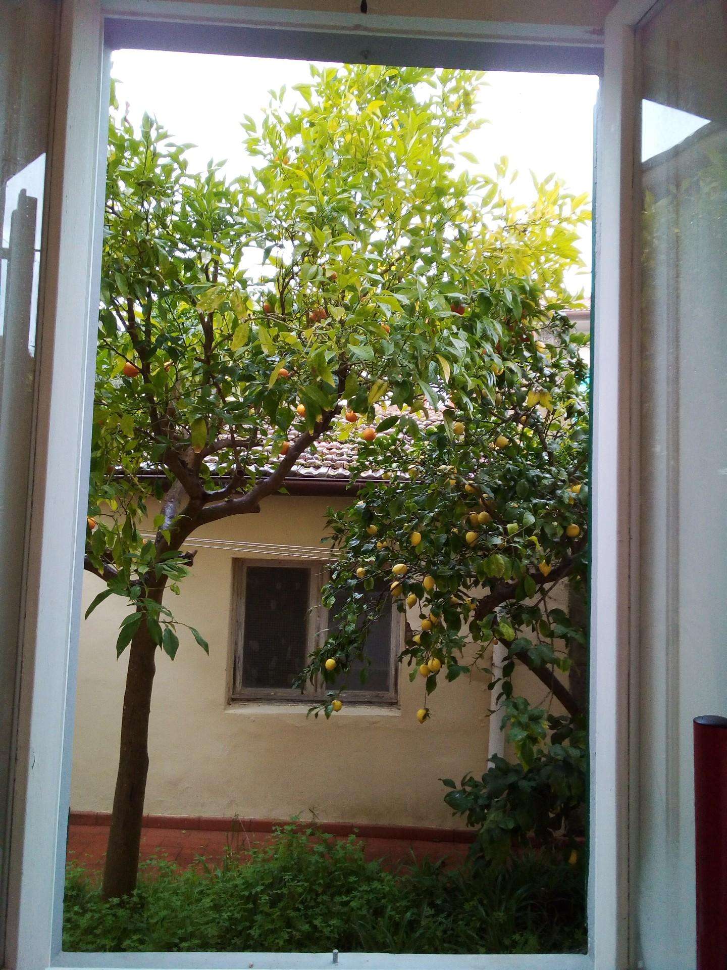 immagine annuncio 6 di 8