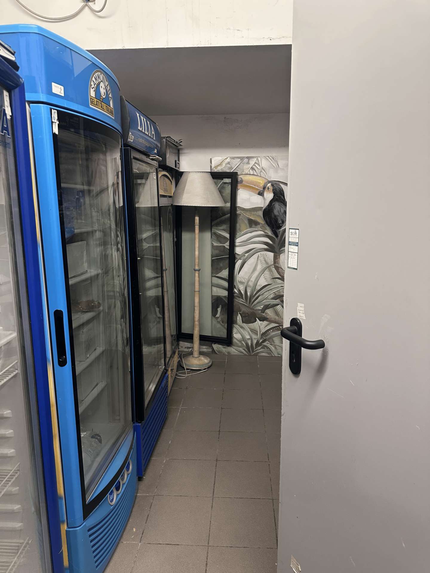 immagine annuncio 10 di 14