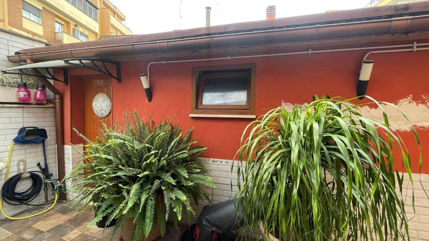  - foto 24