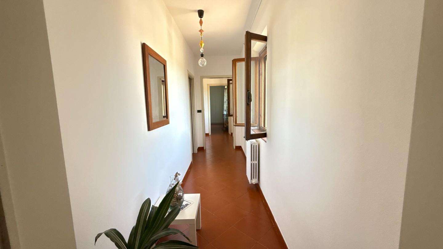  - foto 37