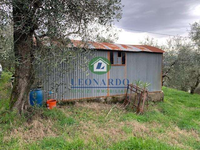 immagine annuncio 3 di 9