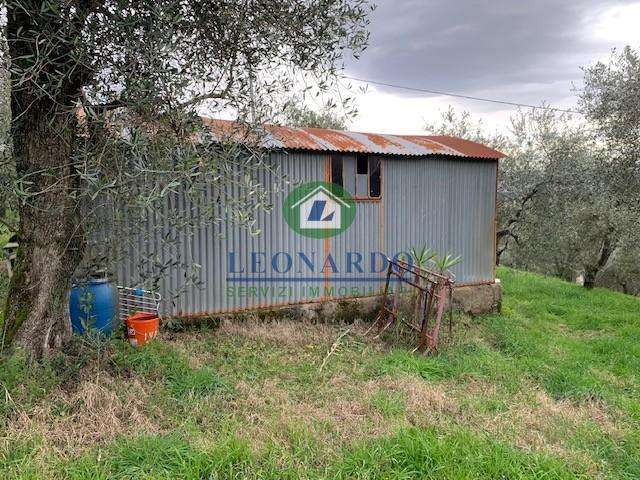 immagine annuncio 4 di 9