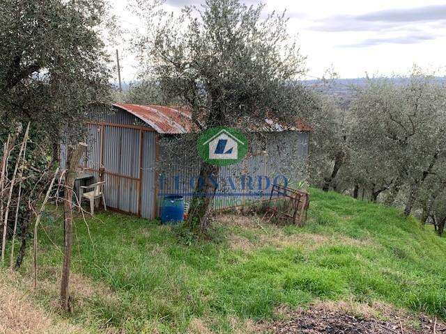 immagine annuncio 8 di 9
