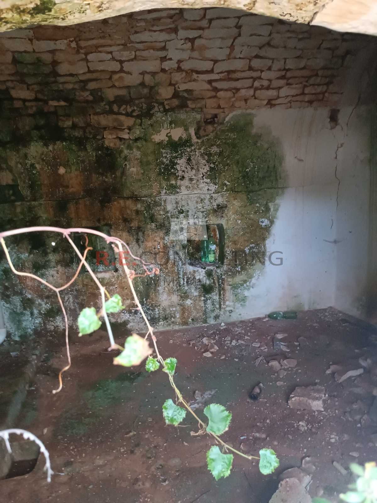  - foto 4