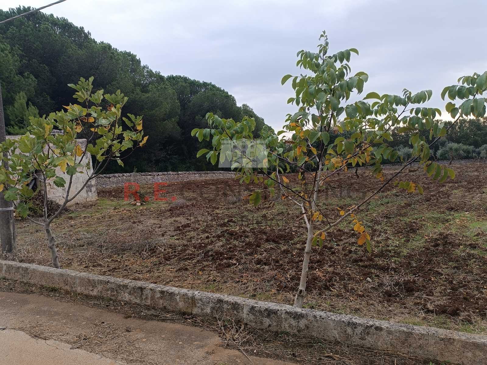  - foto 6