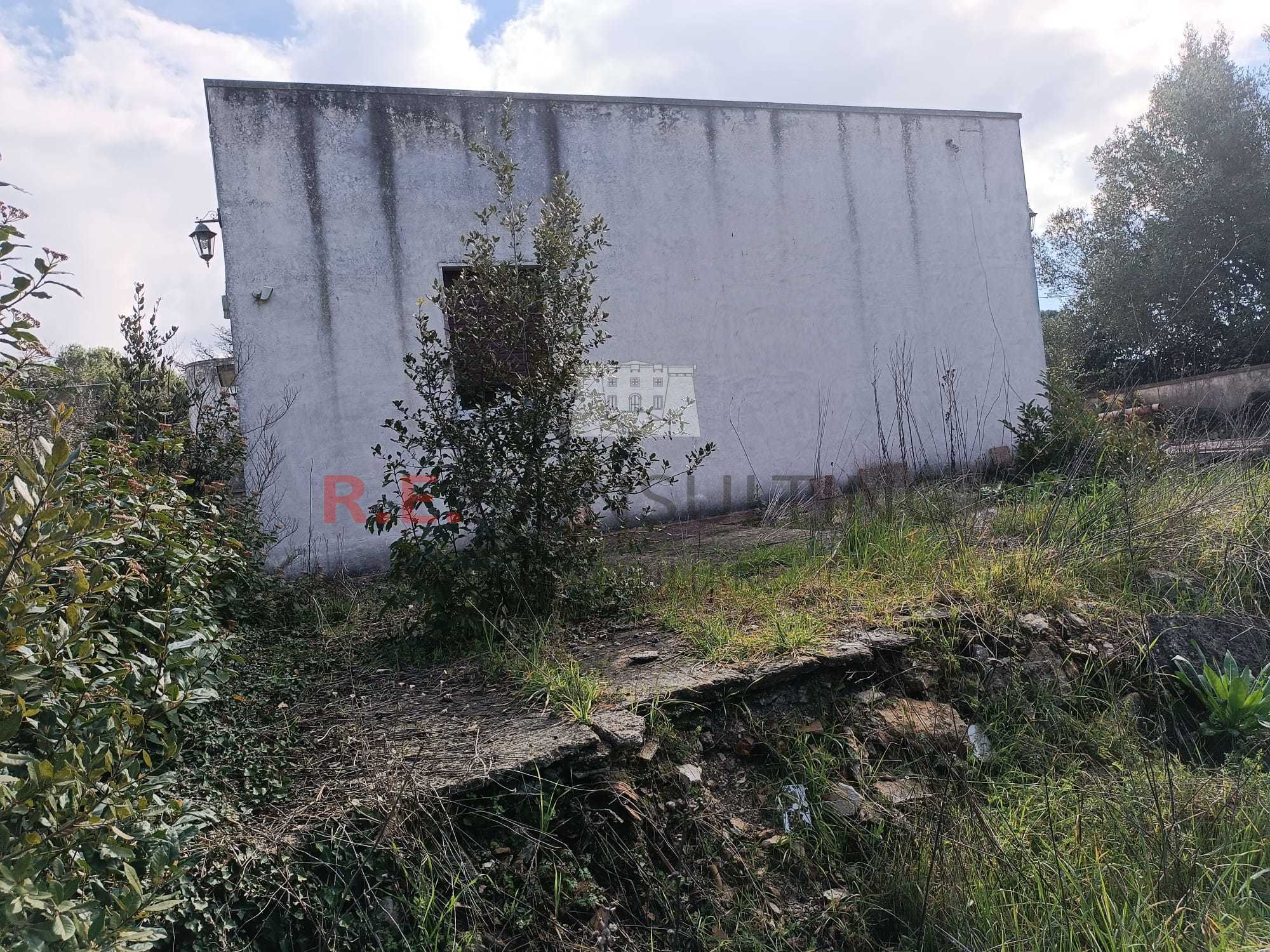  - foto 21