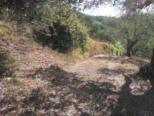 Terreno agricolo via Colle San Francesco, Guidonia Montecelio