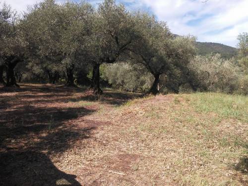 immagine annuncio 1 di 4