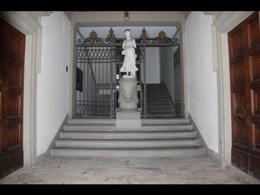  - foto 19