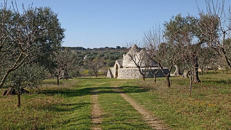 immagine annuncio 4 di 10
