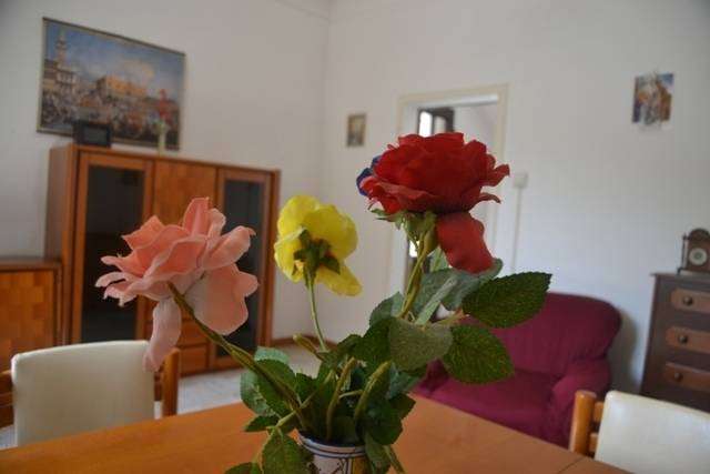  - foto 36