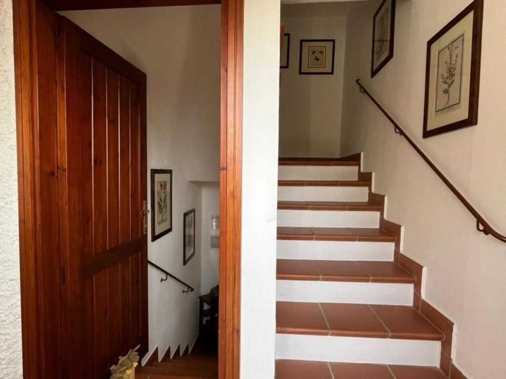  - foto 15