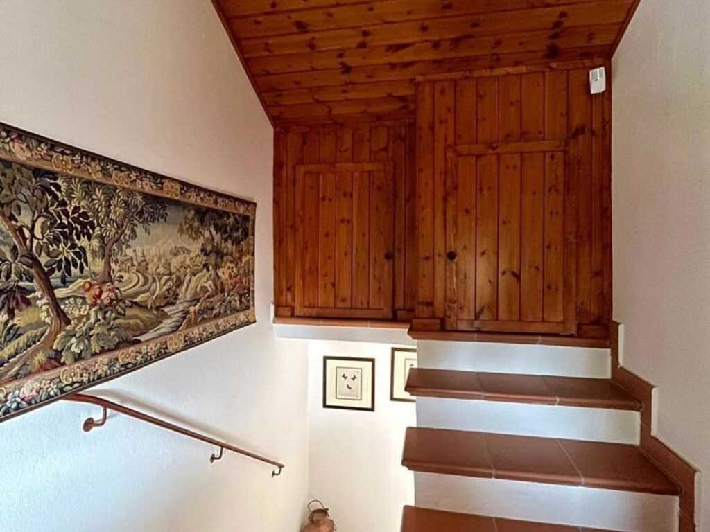 - foto 16