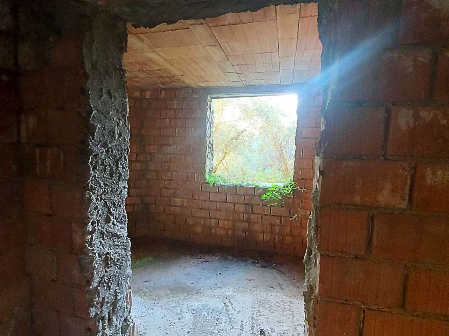  - foto 5