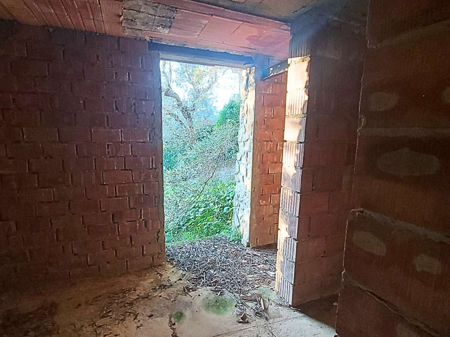  - foto 7