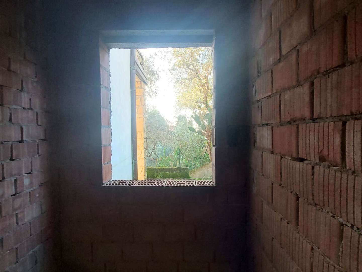  - foto 8
