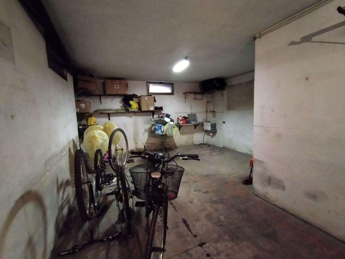 immagine annuncio 3 di 14