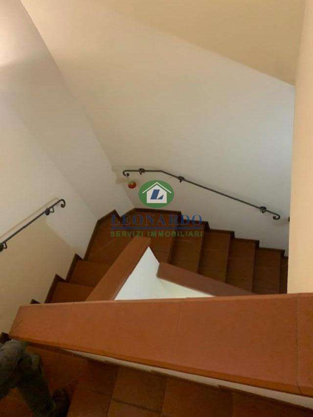  - foto 15