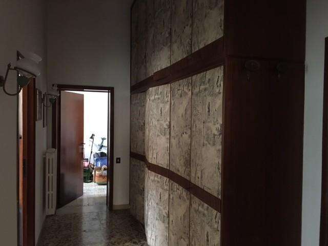  - foto 11