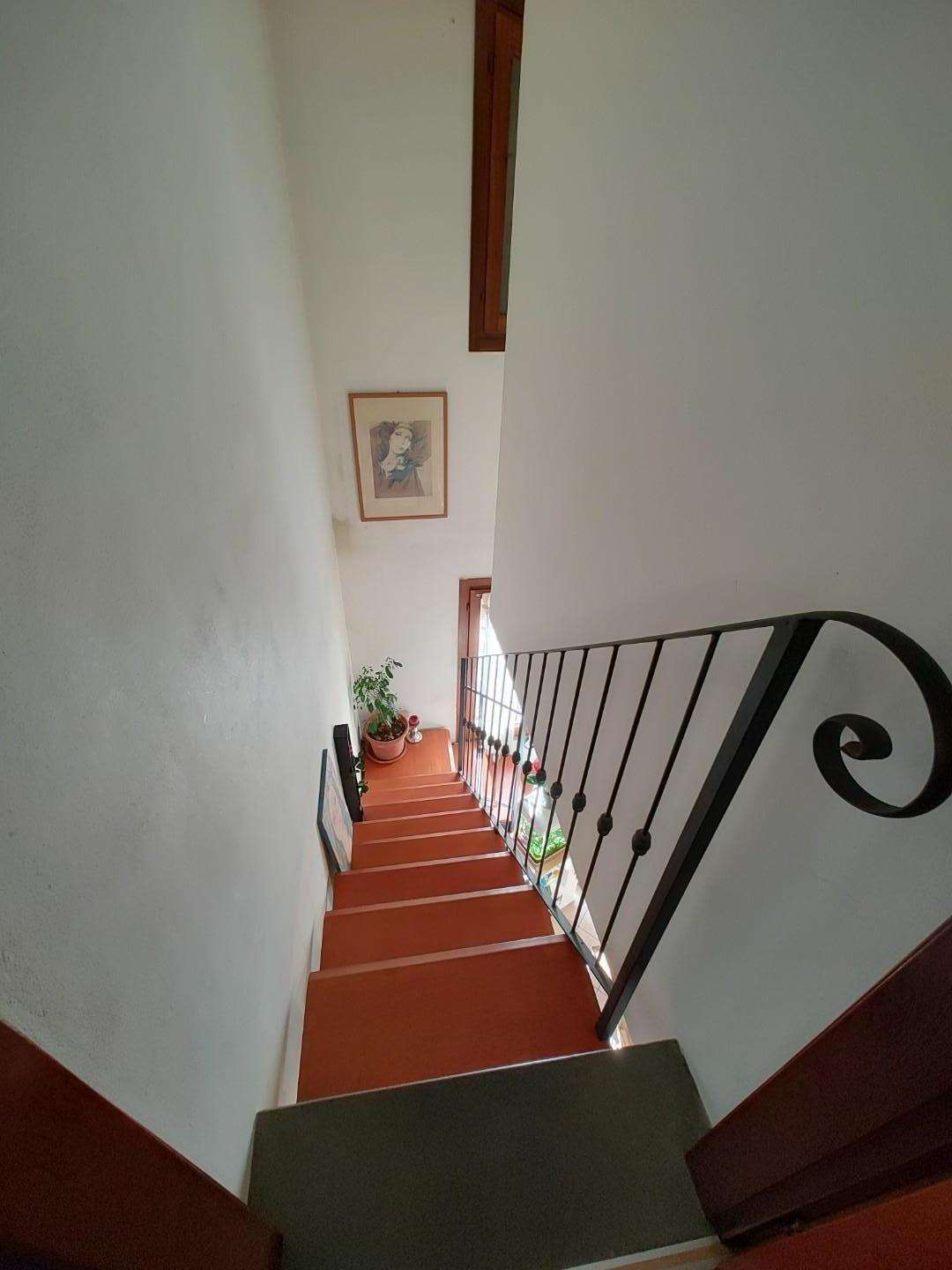  - foto 35